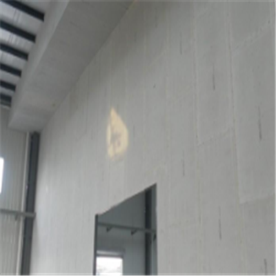 连城宁波ALC板|EPS加气板隔墙与混凝土整浇联接的实验研讨